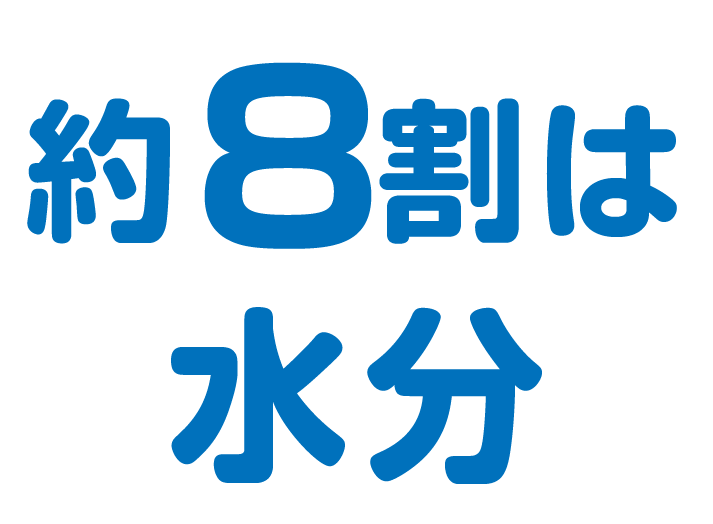 約8割は水分
