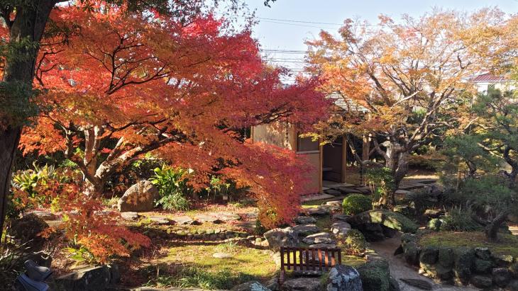 曽文　紅葉図　箱なし　MA913 曽文 紅葉図 箱なし MA913 あったかポンチョ｜株式会社デビカ