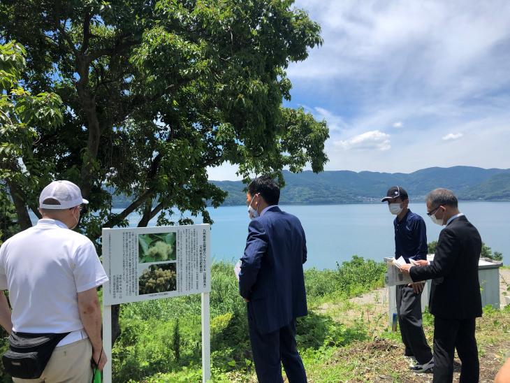 現地視察（ヘツカニガキ自生地）の様子