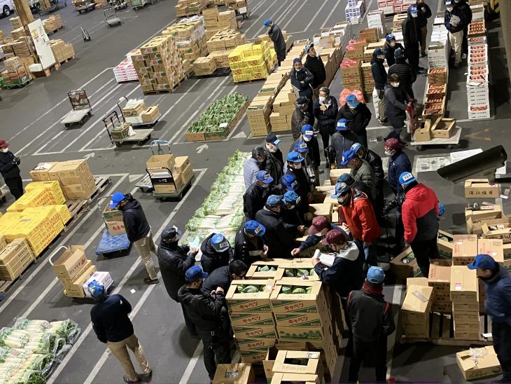 総合地方卸売市場セリの様子