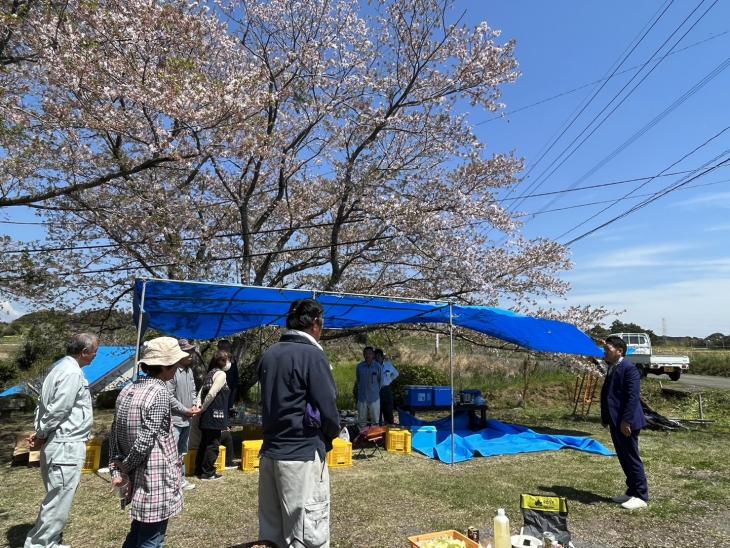 馬頭様公園花見あいさつの様子