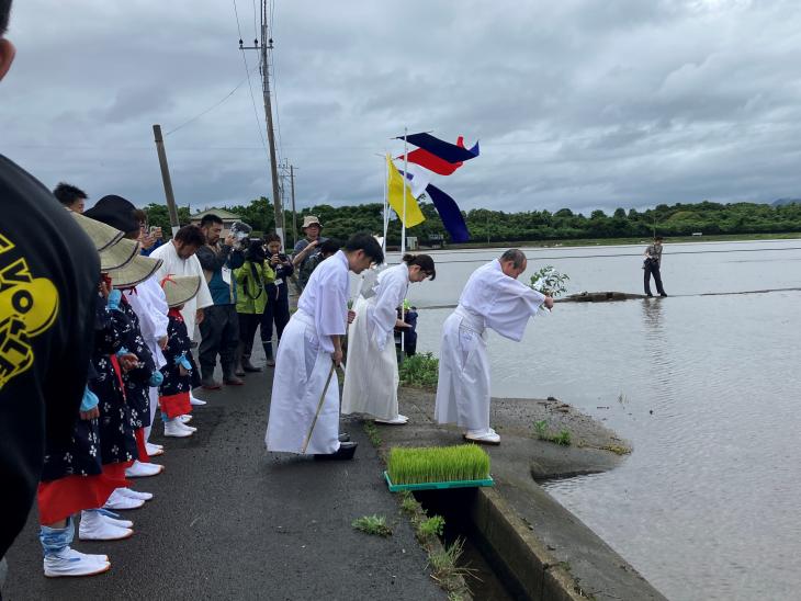 宮中献穀事業・お田植祭の様子3