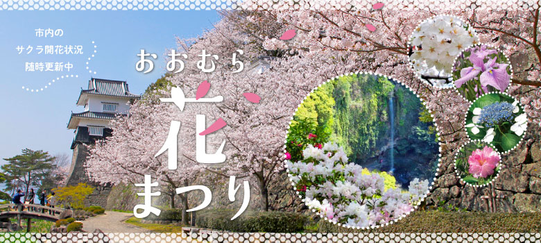 市内のサクラ開花状況