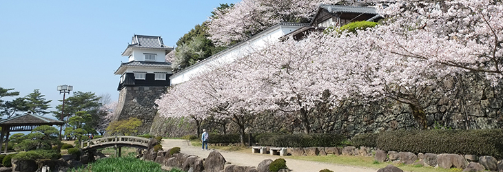 大村公園と桜の写真