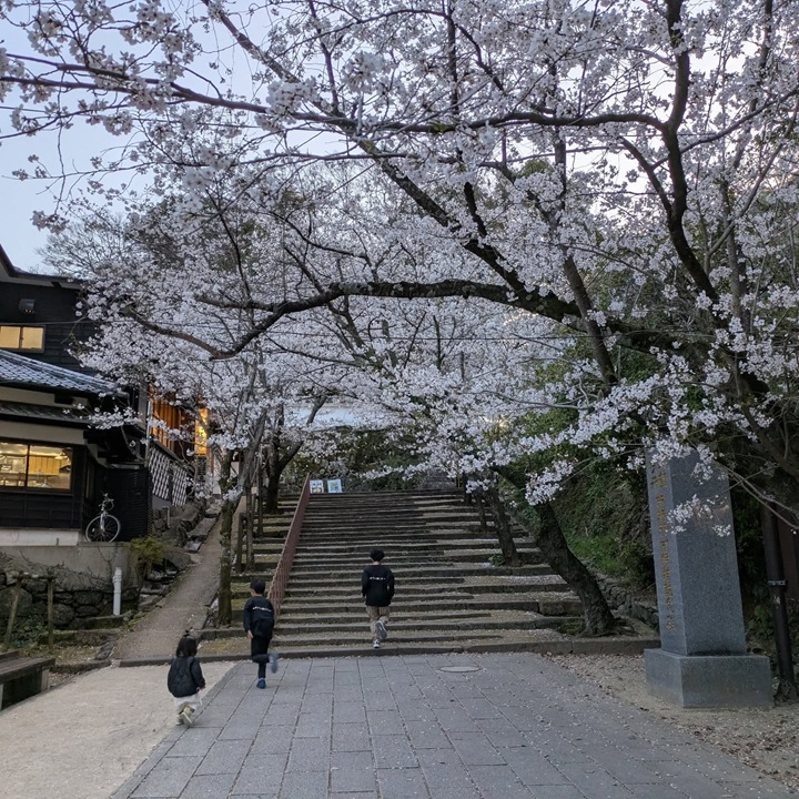 桜階段_大村公園