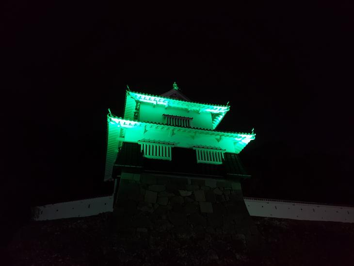 大村公園ライトアップ写真1