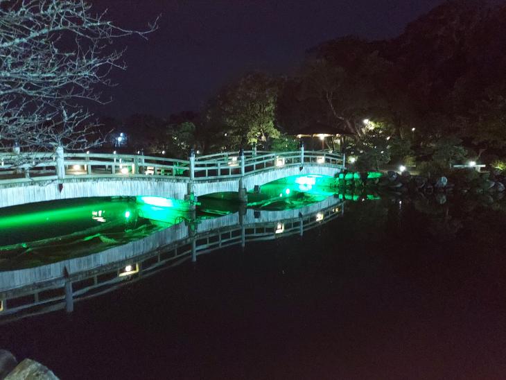 大村公園ライトアップ写真2