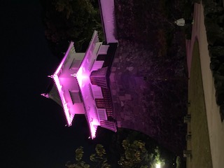 玖島城ライトアップ