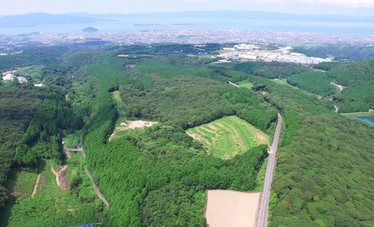 伐採前の航空写真