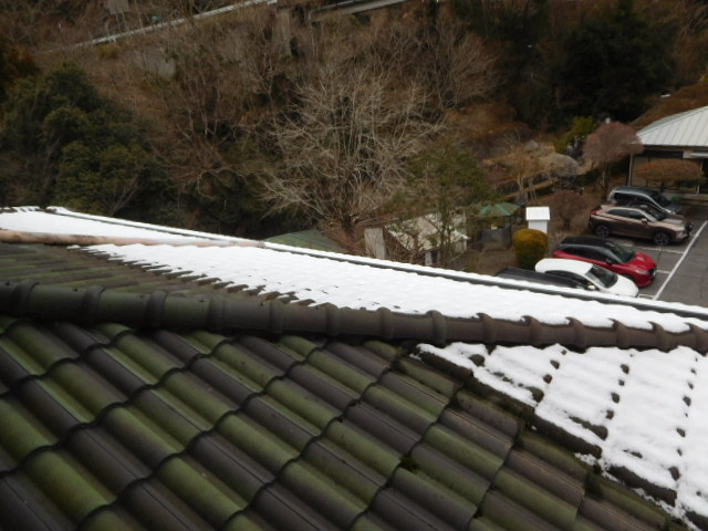 残雪