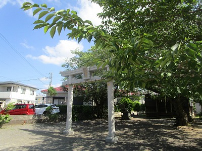 6月4日1年諏訪公園1