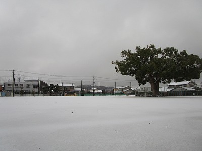 2月5日雪3