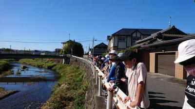 10月20日5年生理科