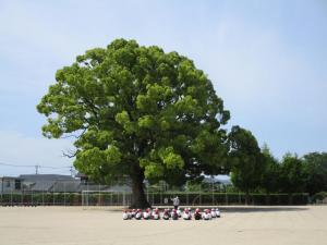 5月2日5年生体育