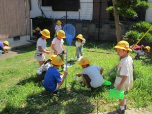 7月1日1年生公園見学