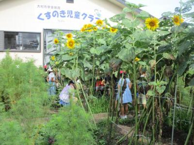 7月7日3年生理科