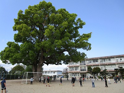 4月10日くすのきタイム