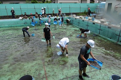 5月26日プール清掃2