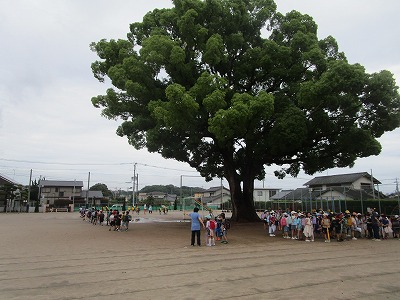 6月1日集団下校2