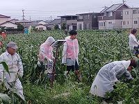 reiwa6nendomorokosihulesutaborannteliakatudou01