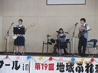 tominoharafes4