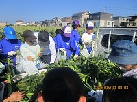 morokositekika3