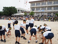 sportsnew2