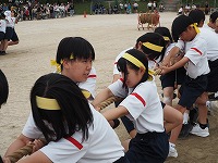 taiikutaikainew2