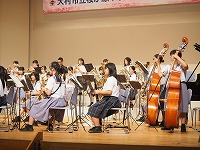brass7