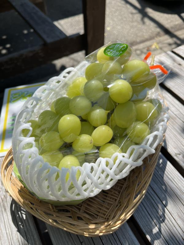 シャインマスカット2-1