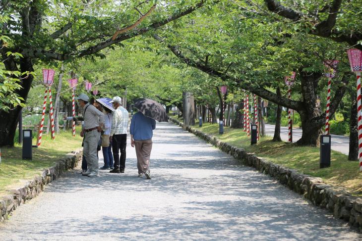 大村公園ウォーキングの様子