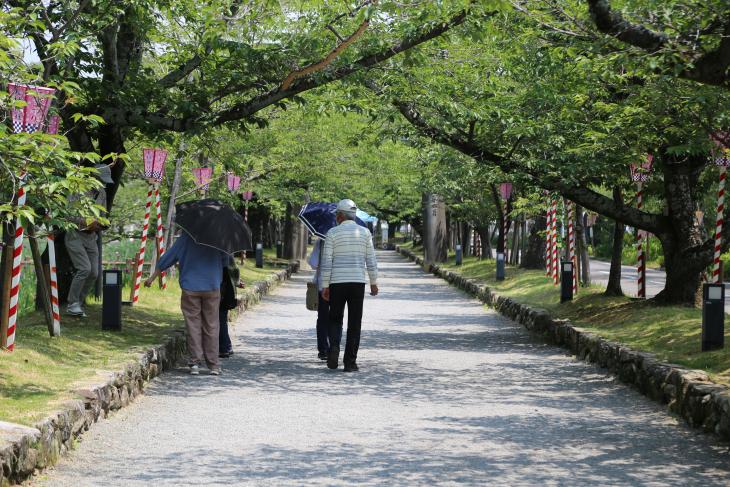 大村公園ウォーキング