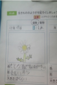r7takesyo017p6