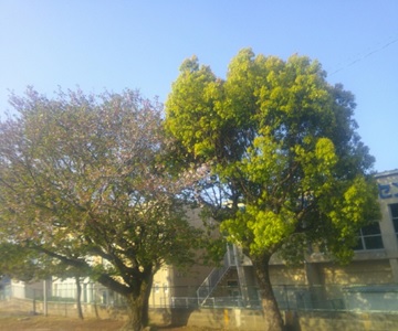 r7takesyo024p5