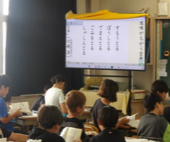 r8289p4