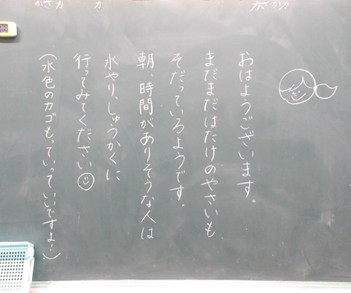 r8313p1