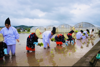 御田植祭3