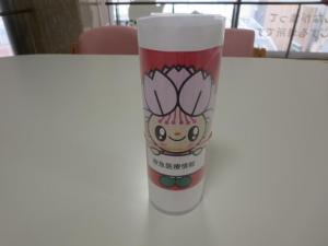 キットの完成画像