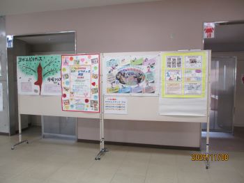 展示