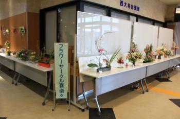 展示2