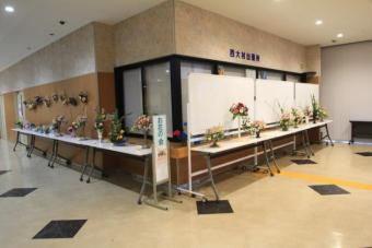展示7