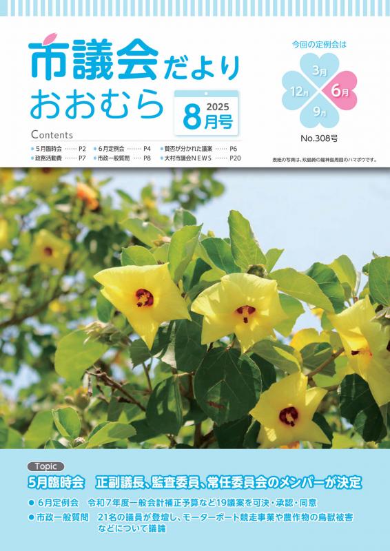 308表紙