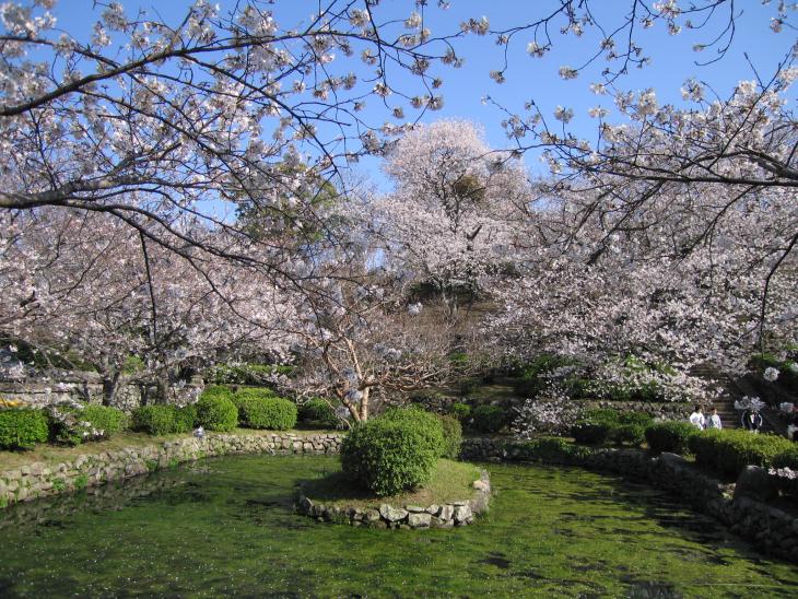 旧円融寺庭園の様子その1