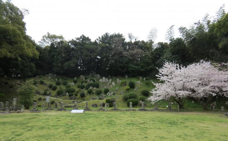 旧円融寺庭園の様子その3