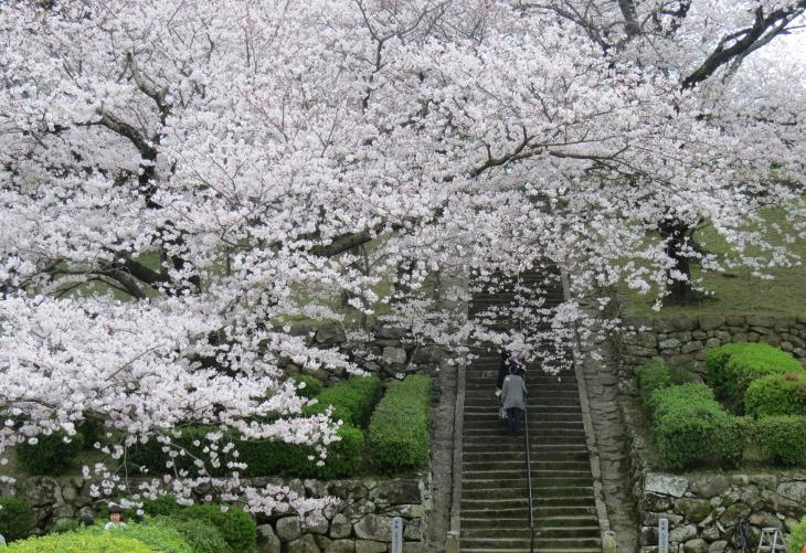 旧円融寺庭園の様子その2