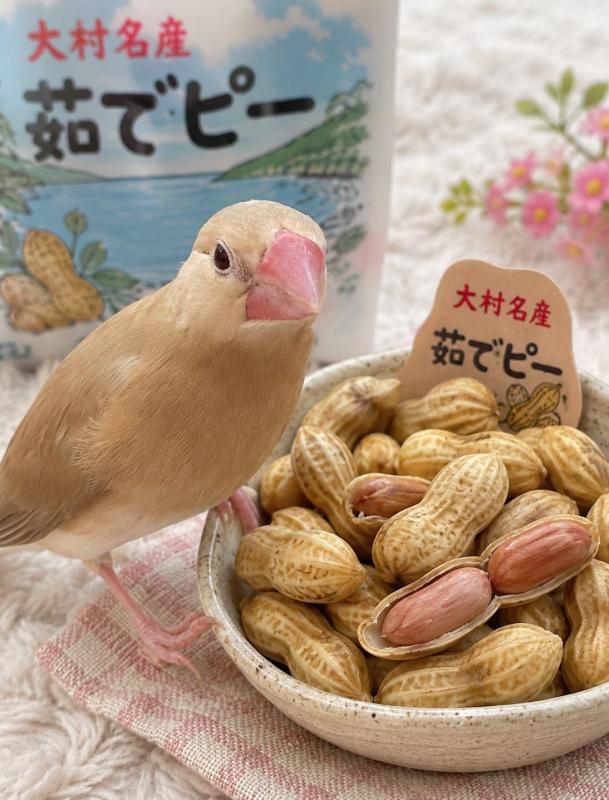優秀賞3