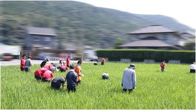 r8kayatyu0803p1