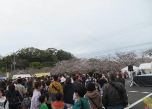 桜まつり
