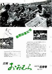 1995(平成7)年6月号No.1187