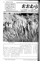 1969(昭和44)年5月中旬号No.571